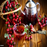 Rosehip Tea Picture